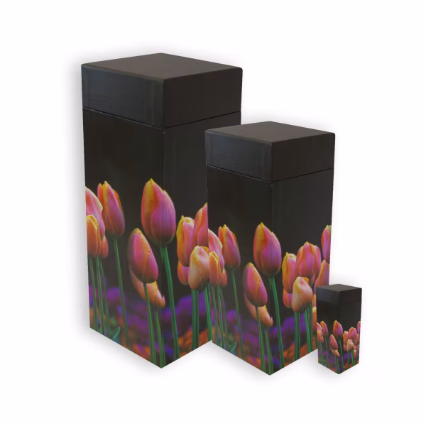 Tulips